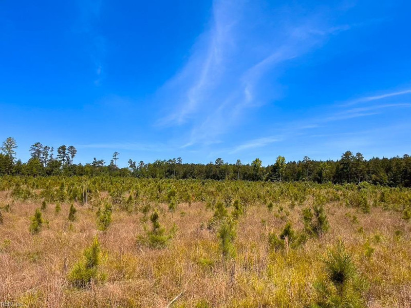 Photo 29 of 45 land for sale in Emporia virginia