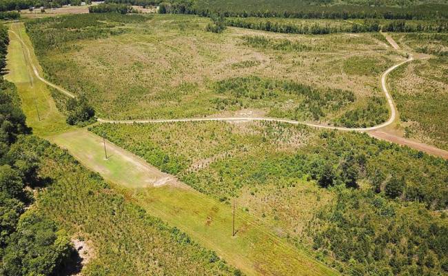 229 AC Moores Ferry Road, Emporia, VA 23847