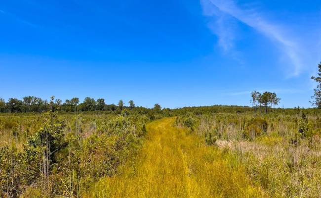 229 AC Moores Ferry Road, Emporia, VA 23847