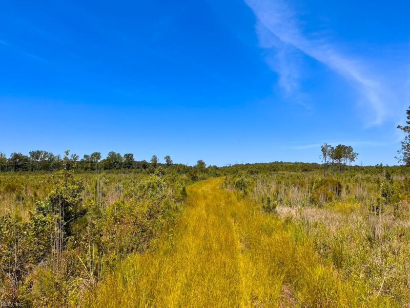 Photo 30 of 45 land for sale in Emporia virginia