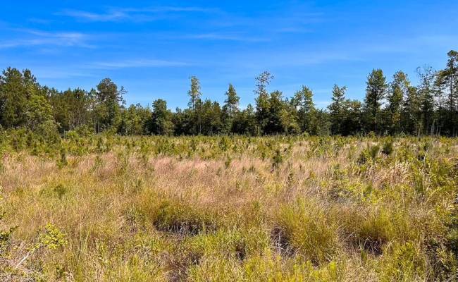 229 AC Moores Ferry Road, Emporia, VA 23847