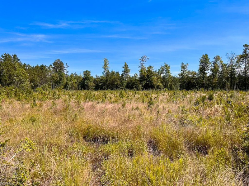 Photo 33 of 45 land for sale in Emporia virginia