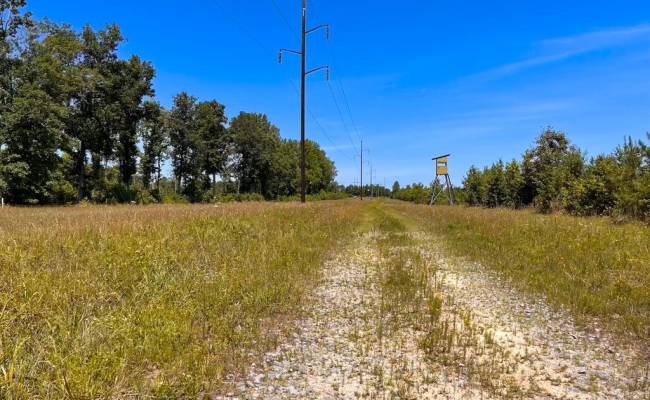 229 AC Moores Ferry Road, Emporia, VA 23847