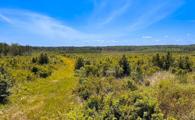 229 AC Moores Ferry Road, Emporia, VA 23847