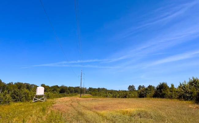 229 AC Moores Ferry Road, Emporia, VA 23847