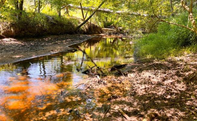 229 AC Moores Ferry Road, Emporia, VA 23847