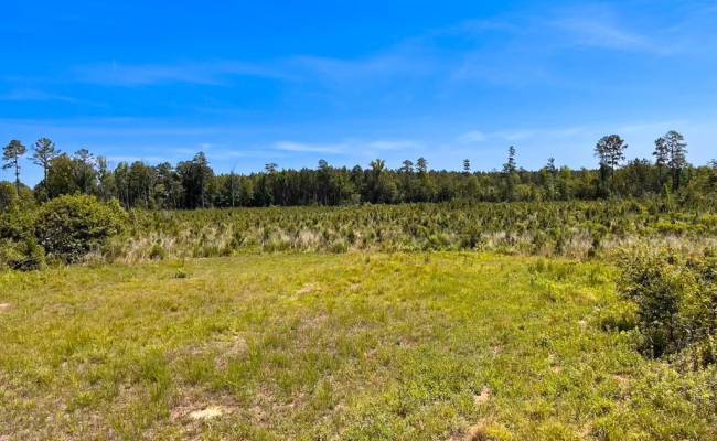229 AC Moores Ferry Road, Emporia, VA 23847