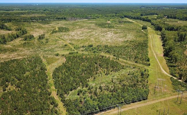 229 AC Moores Ferry Road, Emporia, VA 23847
