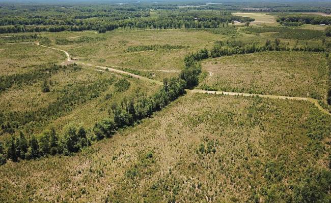 229 AC Moores Ferry Road, Emporia, VA 23847