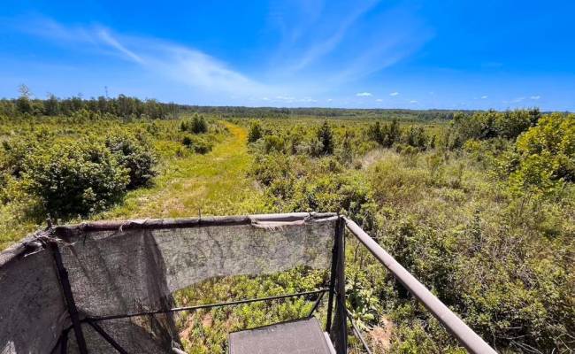 229 AC Moores Ferry Road, Emporia, VA 23847