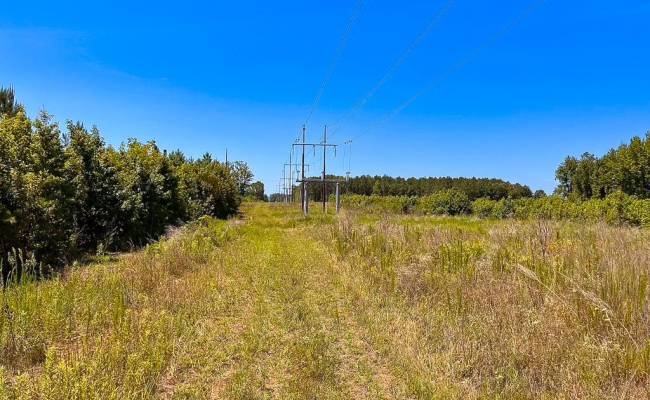 229 AC Moores Ferry Road, Emporia, VA 23847