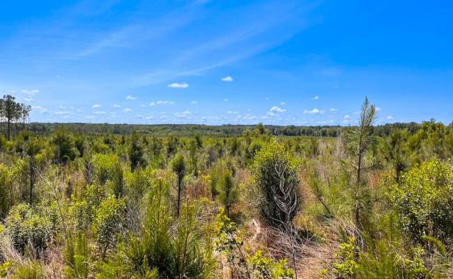 229 AC Moores Ferry Road, Emporia, VA 23847