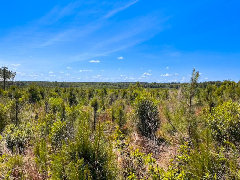 Photo 43 of 45 land for sale in Emporia virginia