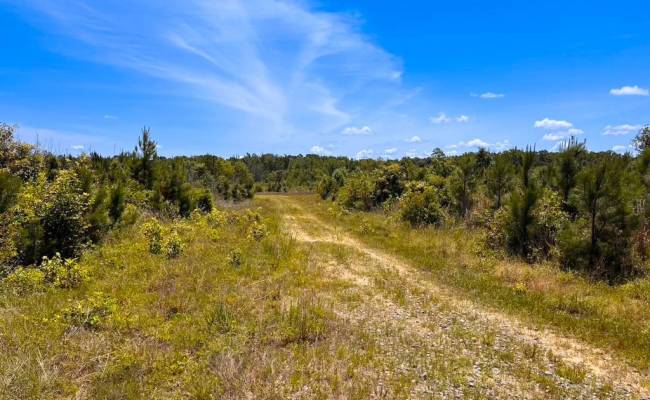 229 AC Moores Ferry Road, Emporia, VA 23847