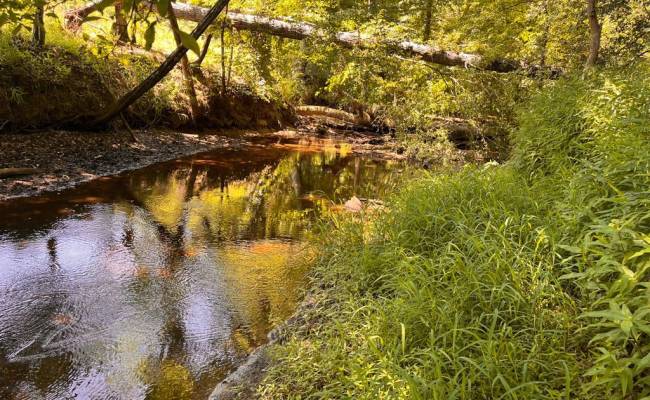 229 AC Moores Ferry Road, Emporia, VA 23847