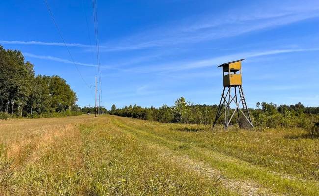 229 AC Moores Ferry Road, Emporia, VA 23847