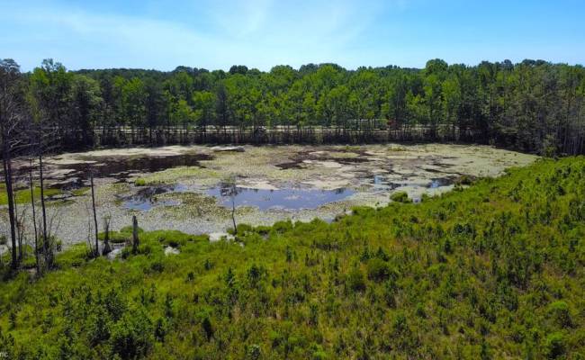 229 AC Moores Ferry Road, Emporia, VA 23847