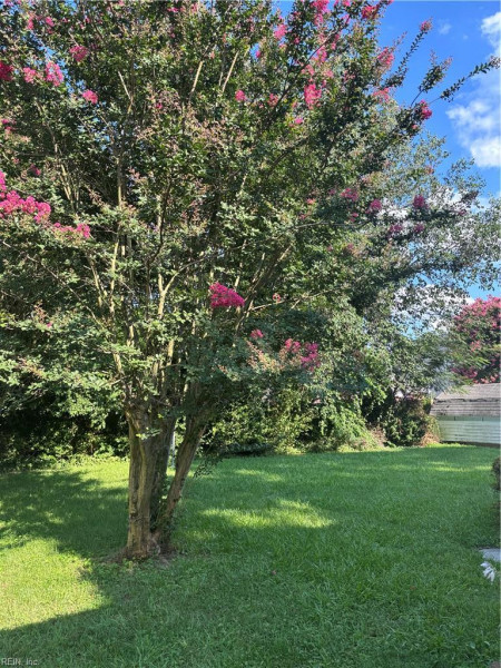 Photo 7 of 31 residential for sale in Norfolk virginia Photo 7 of 31 residential for sale in Norfolk virginia