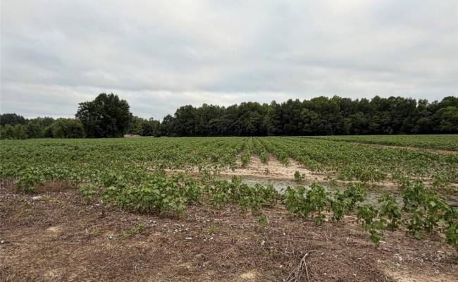 Lot 19 Longstreet Lane, Suffolk, VA 23437