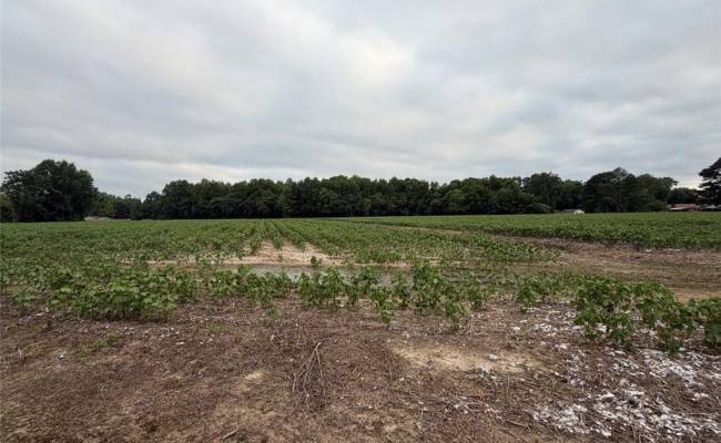 Lot 19 Longstreet Lane, Suffolk, VA 23437
