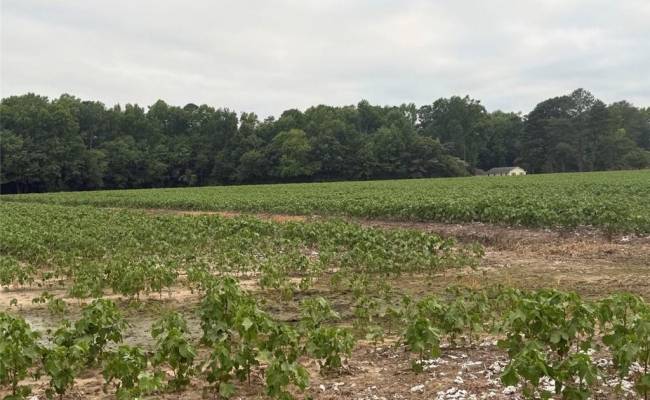 Lot 19 Longstreet Lane, Suffolk, VA 23437
