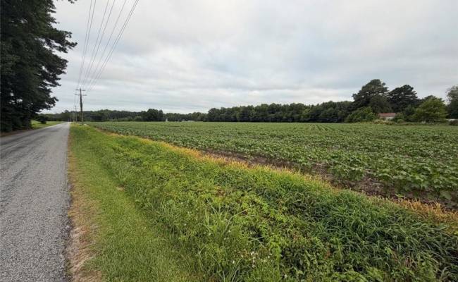 Lot 19 Longstreet Lane, Suffolk, VA 23437
