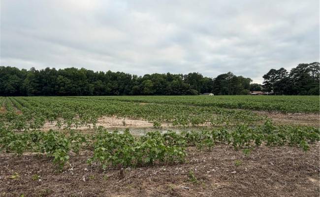 Lot 19 Longstreet Lane, Suffolk, VA 23437