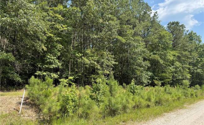 14 Fox Chase Drive, Surry County, VA 23839