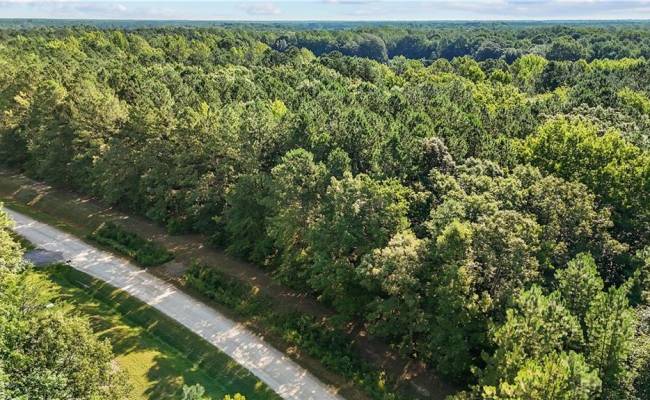 14 Fox Chase Drive, Surry County, VA 23839