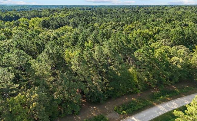 14 Fox Chase Drive, Surry County, VA 23839