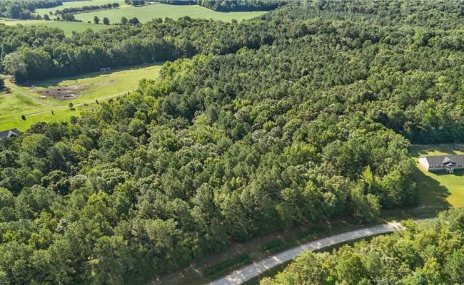 14 Fox Chase Drive, Surry County, VA 23839
