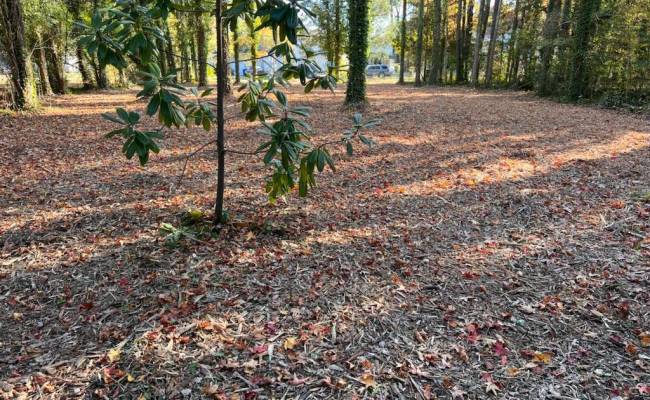 56 Mobjack Lane, Gloucester County, VA 23072