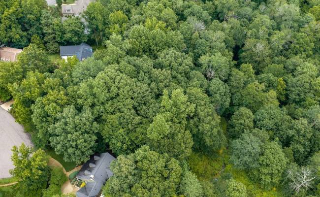 109 Aberdeen , James City County, VA 23188