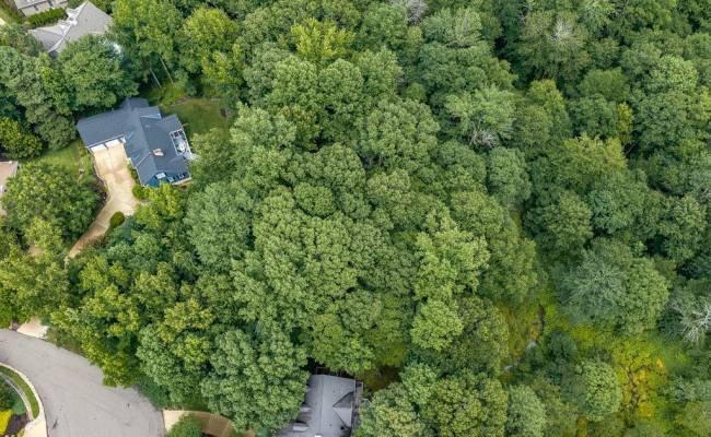 109 Aberdeen , James City County, VA 23188