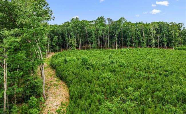 5.89ac Five Gables Woodlands , Gloucester County, VA 23061