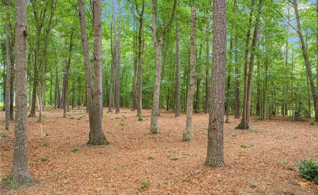5.89ac Five Gables Woodlands , Gloucester County, VA 23061