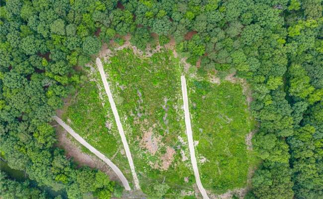 7.92ac Five Gables Woodlands , Gloucester County, VA 23061