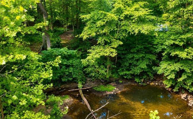 0 Haynes Pond Way, Gloucester County, VA 23061