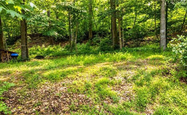 0 Haynes Pond Way, Gloucester County, VA 23061