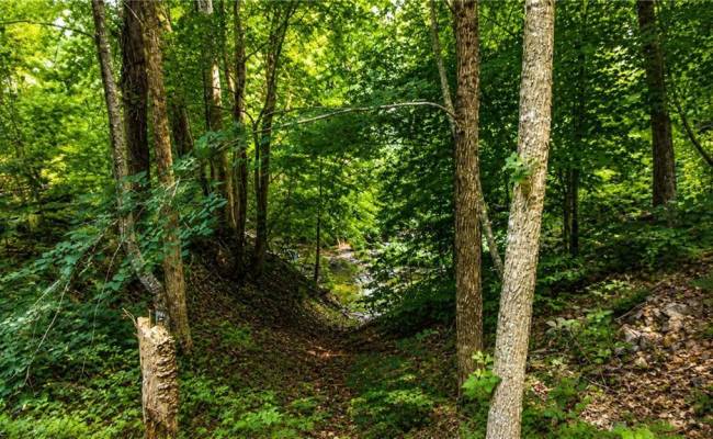 0 Haynes Pond Way, Gloucester County, VA 23061