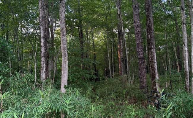 Lot 9 Tuck Street, Chesapeake, VA 23322