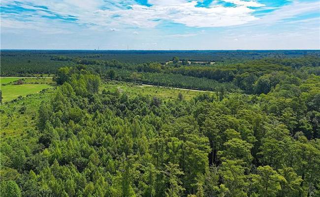 19.2Ac Hollybush Road, Surry County, VA 23839