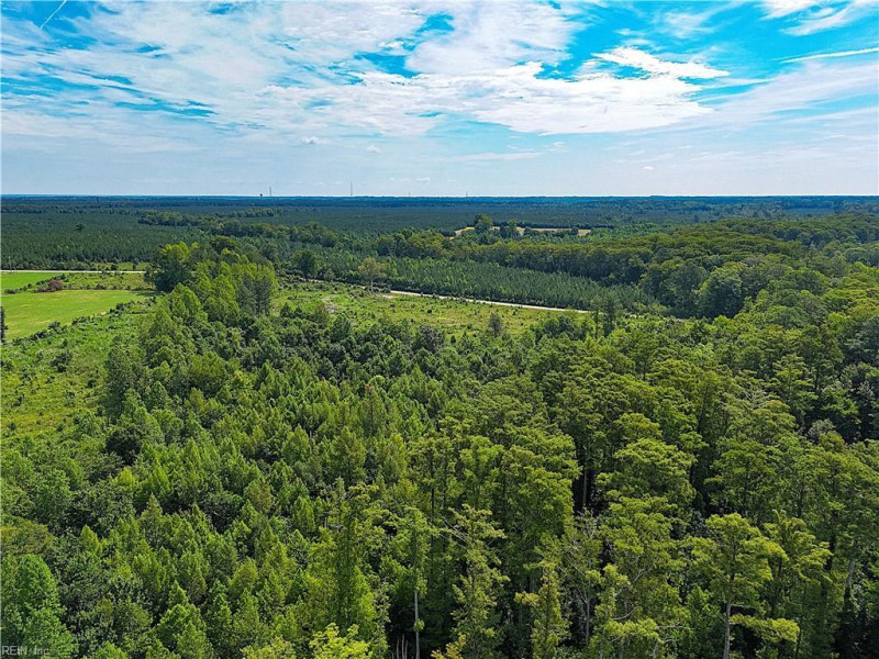 Photo 11 of 37 land for sale in Surry County virginia Photo 11 of 37 land for sale in Surry County virginia