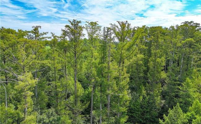 19.2Ac Hollybush Road, Surry County, VA 23839