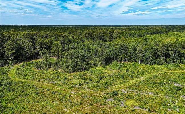 19.2Ac Hollybush Road, Surry County, VA 23839