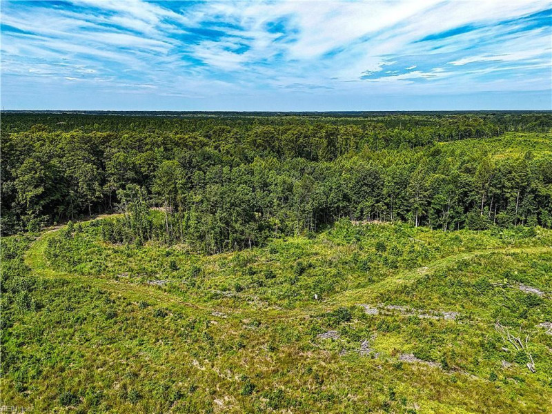 Photo 14 of 37 land for sale in Surry County virginia Photo 14 of 37 land for sale in Surry County virginia