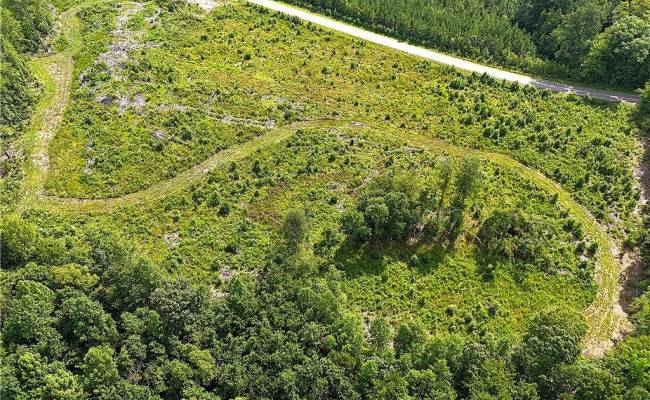 19.2Ac Hollybush Road, Surry County, VA 23839