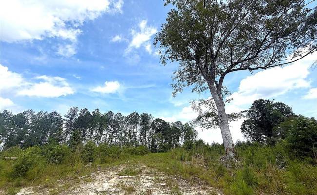19.2Ac Hollybush Road, Surry County, VA 23839