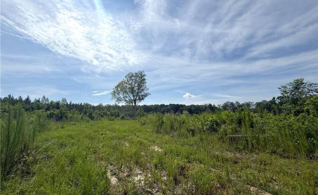 19.2Ac Hollybush Road, Surry County, VA 23839