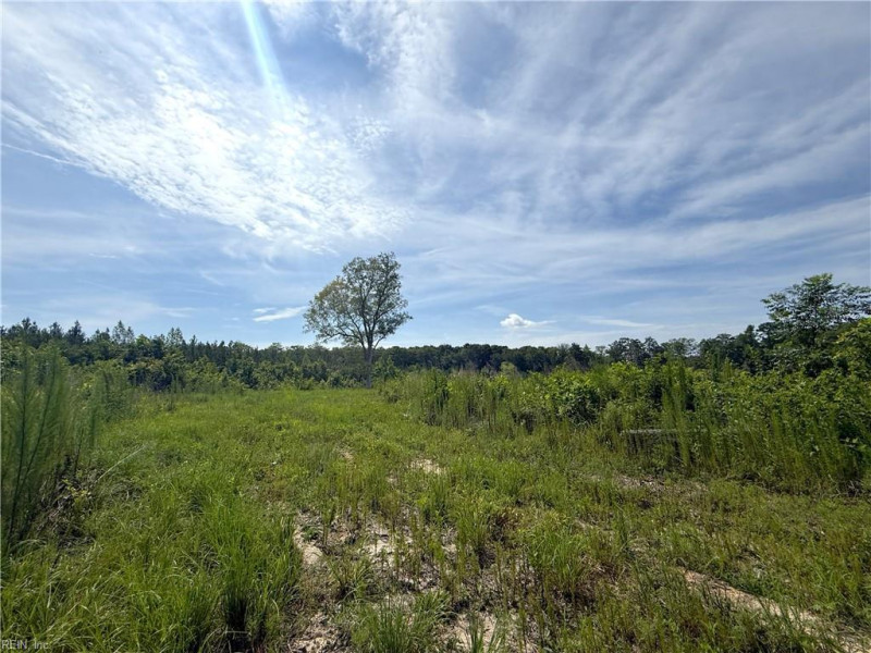 Photo 17 of 37 land for sale in Surry County virginia Photo 17 of 37 land for sale in Surry County virginia
